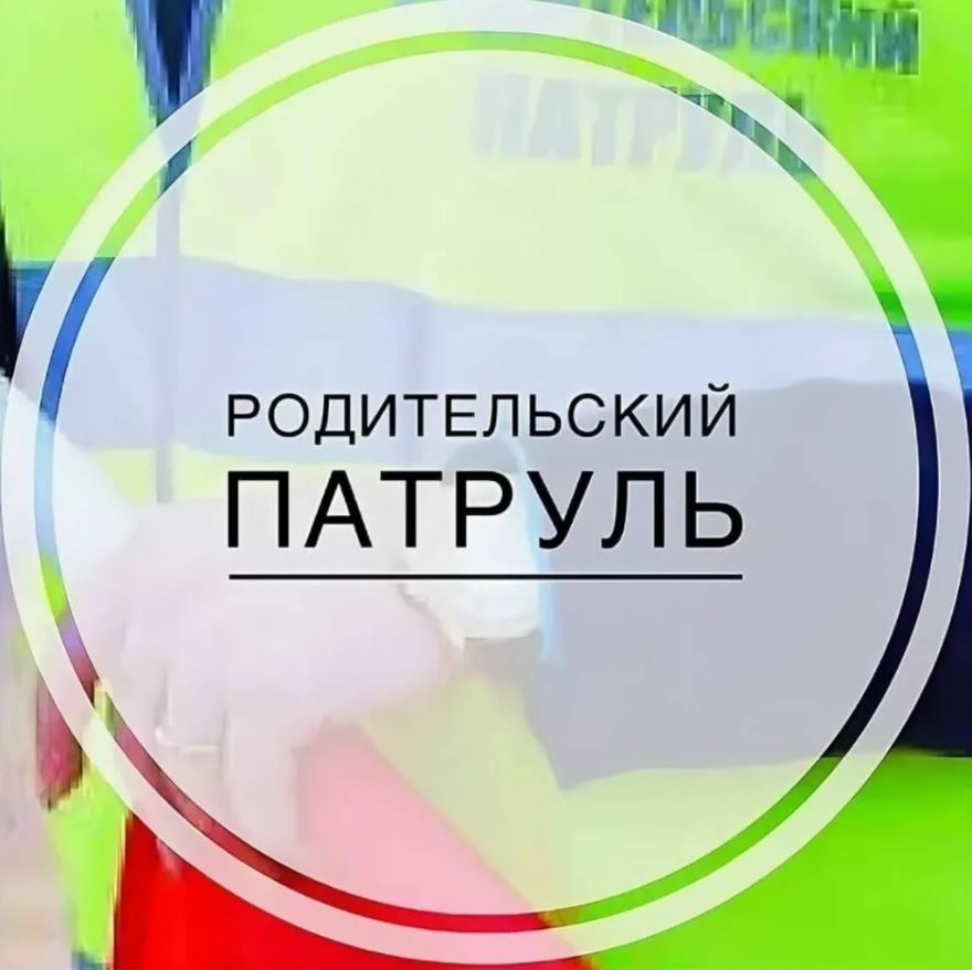 roditelskii_patrul_4.jpeg